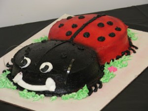 Lady Bug Party