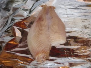 Bay Leaf Flounder