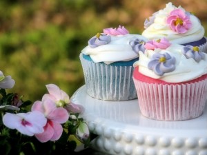 Pastel Flower Cupcakes