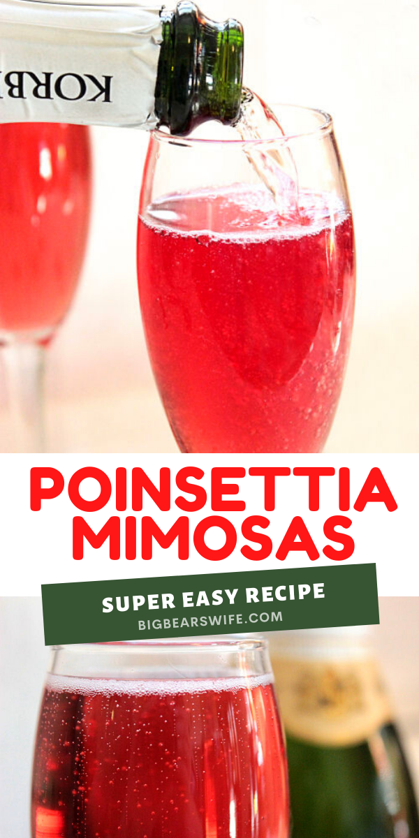 This beautiful Poinsettia Mimosas is the perfect cocktail for the Holidays! This drink is the Christmas version of a regular Orange Juice Mimosas!  I love these Poinsettia Mimosas. If you love Champagne and Cranberry Juice, you'll love these Poinsettia Mimosas! The perfect holiday drink! via @bigbearswife