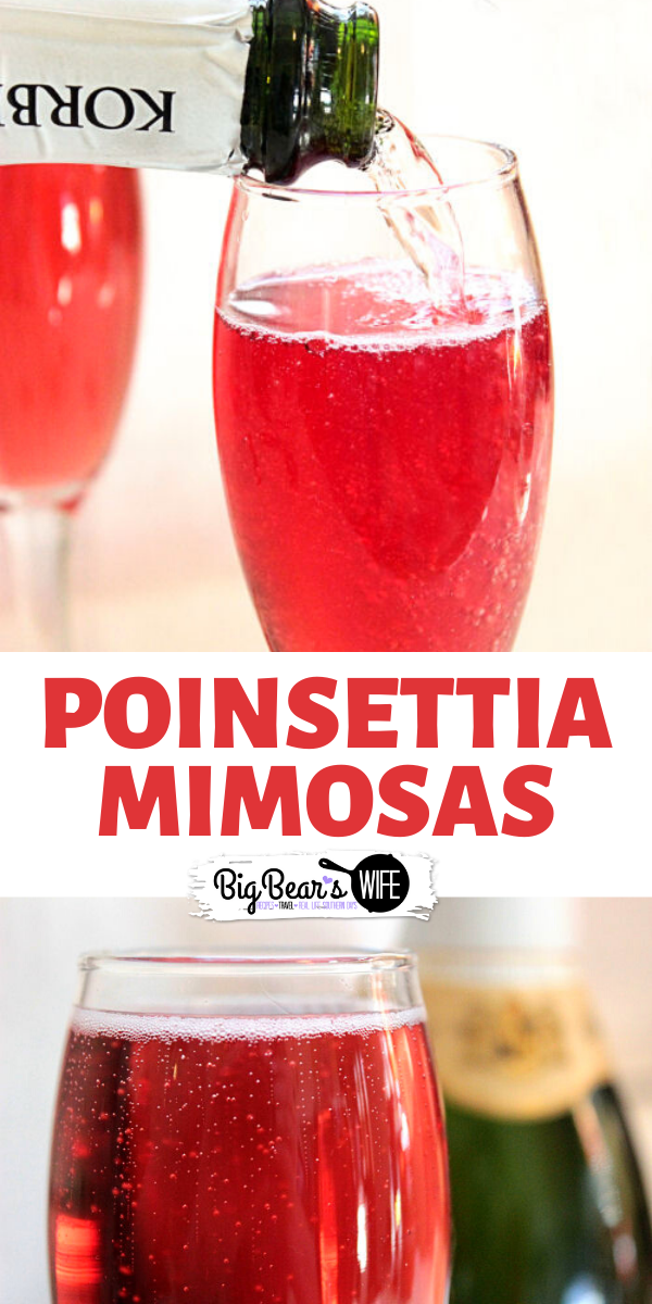 This beautiful Poinsettia Mimosas is the perfect cocktail for the Holidays! This drink is the Christmas version of a regular Orange Juice Mimosas!  I love these Poinsettia Mimosas. If you love Champagne and Cranberry Juice, you'll love these Poinsettia Mimosas! The perfect holiday drink! via @bigbearswife