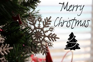 Merry Christmas – Carolina Beach