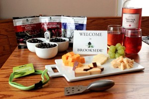Brookside Chocolate Tasting Kit