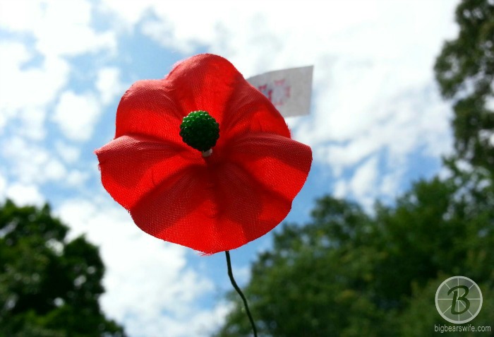 Poppy Flower - Memorial Day - BigBearsWife.com
