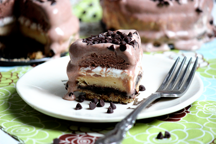 Mini S'more Ice Cream Cakes & a S'more Cookbook Giveaway | BigBearsWife.com