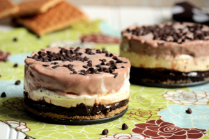 Mini S’more Ice Cream Cakes & a S’more Cookbook Giveaway