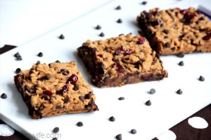 {Gluten Free} Butterscotch Blondies with Chocolate Chips and Cranberries