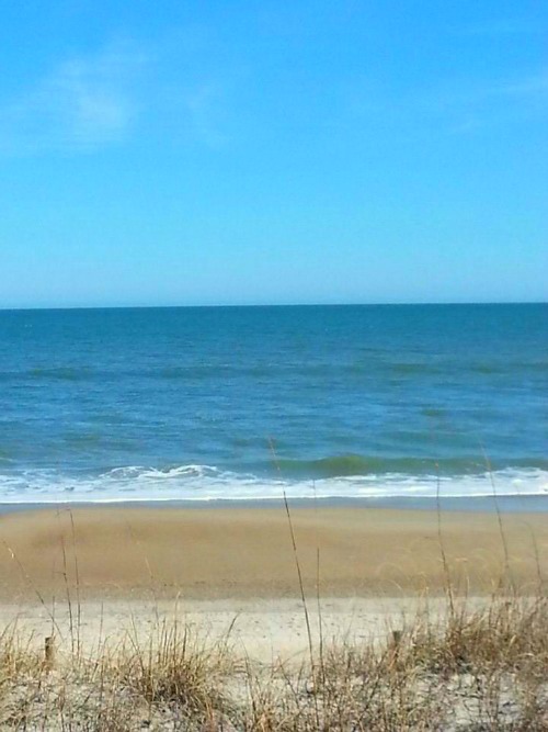 Carolina Beach, NC - | BigBearsWife.com #travel #Wilmington #CarolinaBeach