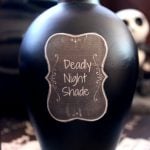 Sally's Potion Bottles from The Nightmare Before Christmas - Worms Wort, Frog's Breath and Deadly Night Shade