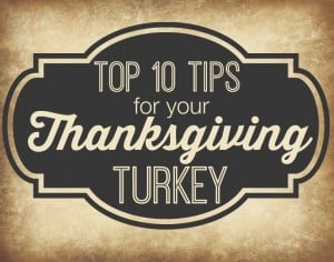 Top Ten Tips for your Thanksgiving Turkey