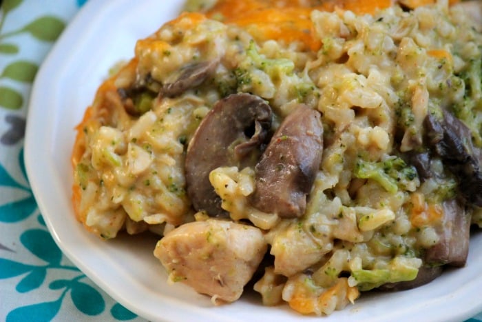 Chicken and Broccoli Casserole #12 bloggers