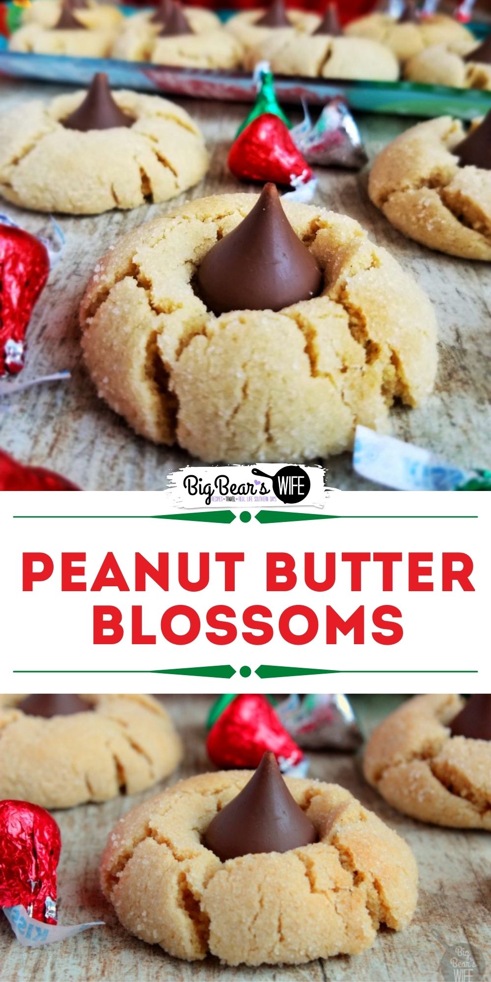 Sweet Peanut Butter cookies rolled in sugar and then baked to perfection! As soon as they come out of the oven, press a chocolate kiss down into the center to make the best Peanut Butter Blossoms! via @bigbearswife