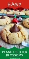 Sweet Peanut Butter cookies rolled in sugar and then baked to perfection! As soon as they come out of the oven, press a chocolate kiss down into the center to make the best Peanut Butter Blossoms! via @bigbearswife