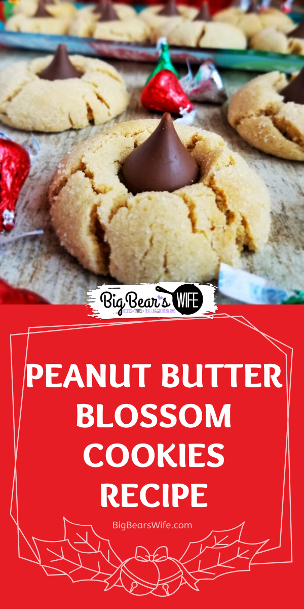 Peanut Butter Blossoms - Sweet Peanut Butter cookies rolled in sugar and then baked to perfection! As soon as they come out of the oven, press a chocolate kiss down into the center to make the best Peanut Butter Blossoms! via @bigbearswife