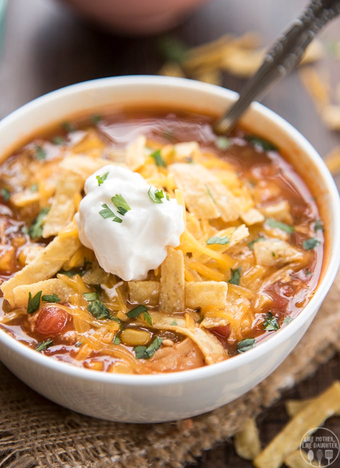 Slow Cooker Chicken Enchilada Soup - This soup is packed full of flavor, with hardly any work, for a meal that the whole family will love