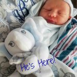 Baby Bear is Here!