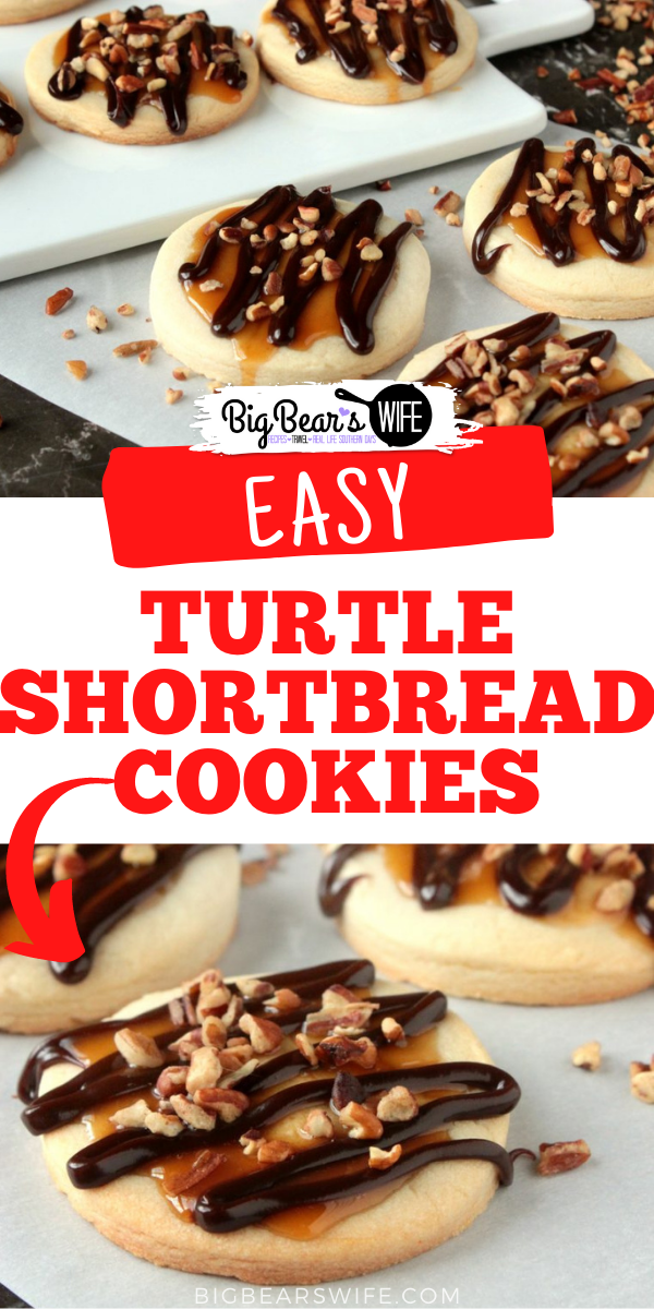 Turtle Shortbread Cookies - These Turtle Shortbread Cookies are homemade shortbread cookies have a caramel sauce center, they’re drizzled with homemade chocolate sauce and topped with chopped pecans! via @bigbearswife