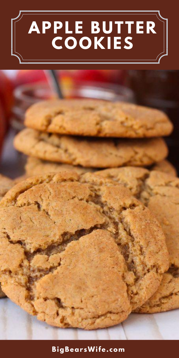APPLE BUTTER
An Apple Butter Cookie is a mash up of snickerdoodles and sugar cookies! They're soft and chewy with a cinnamon sugar crust! Make them with store bought apple butter or homemade apple butter! via @bigbearswife