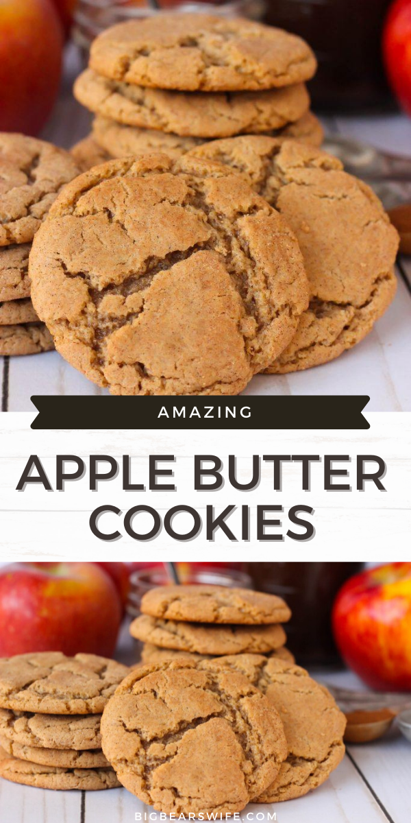 An Apple Butter Cookie is a mash up of snickerdoodles and sugar cookies! They're soft and chewy with a cinnamon sugar crust! Make them with store bought apple butter or homemade apple butter! via @bigbearswife
