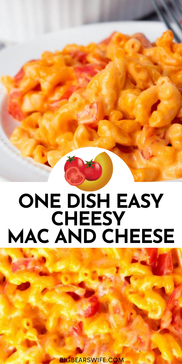 5 ingredients and one casserole dish is all you need to make this One Dish Easy Cheesy Mac and Cheese! Add some cooked shredded chicken to in at the end for an entire meal or serve it as is for the perfect cheesy side dish!

 via @bigbearswife