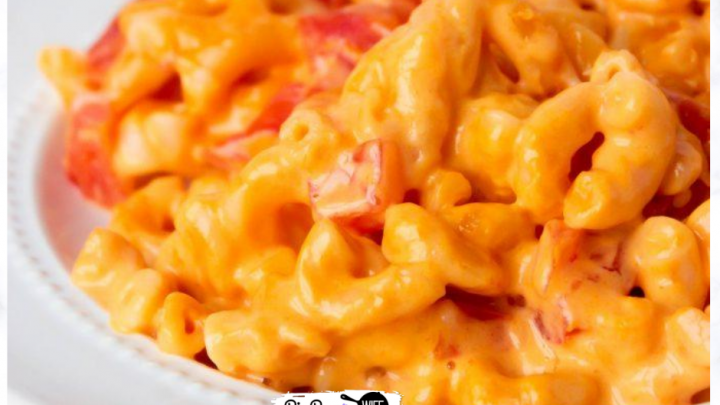 One Dish Easy Cheesy Mac and Cheese - Big Bear's Wife