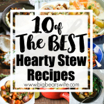 10 of the BEST Hearty Stew Recipes