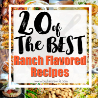 20 of the best Ranch Flavored Recipes - I'm crazy about ranch, it's true! There are so many fun fun ranch flavored recipes out there and I just had to find the BEST ones for you and I! I know you want these too! 