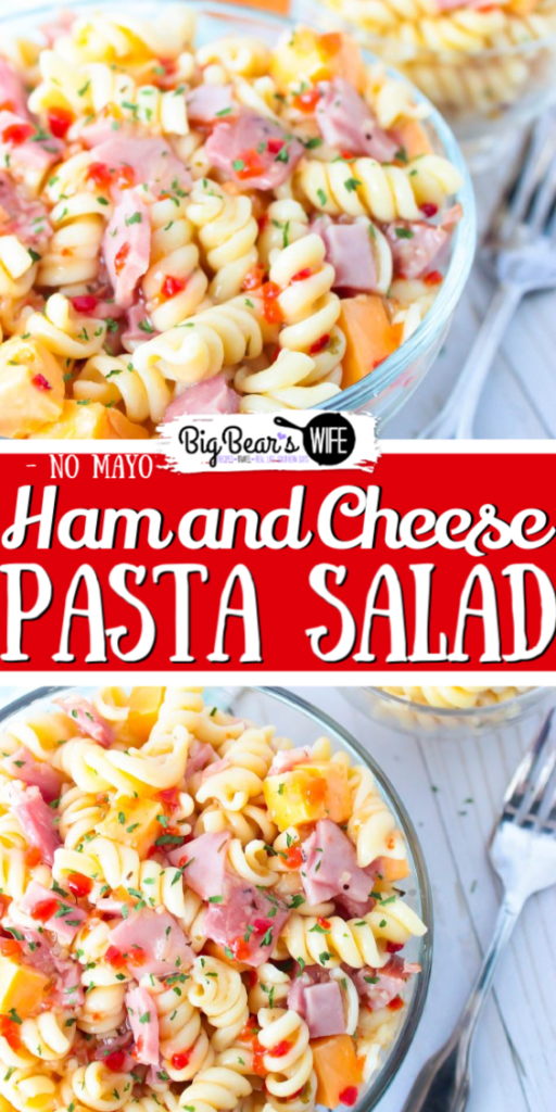 Ham and Cheese Pasta Salad - No Mayonnaise - Looking for the perfect pasta salad to take to that family cookout or neighborhood block party? This Ham and Cheese Pasta Salad would be perfect! Plus, it's made without mayo, so it's safe to set out for a bit! 