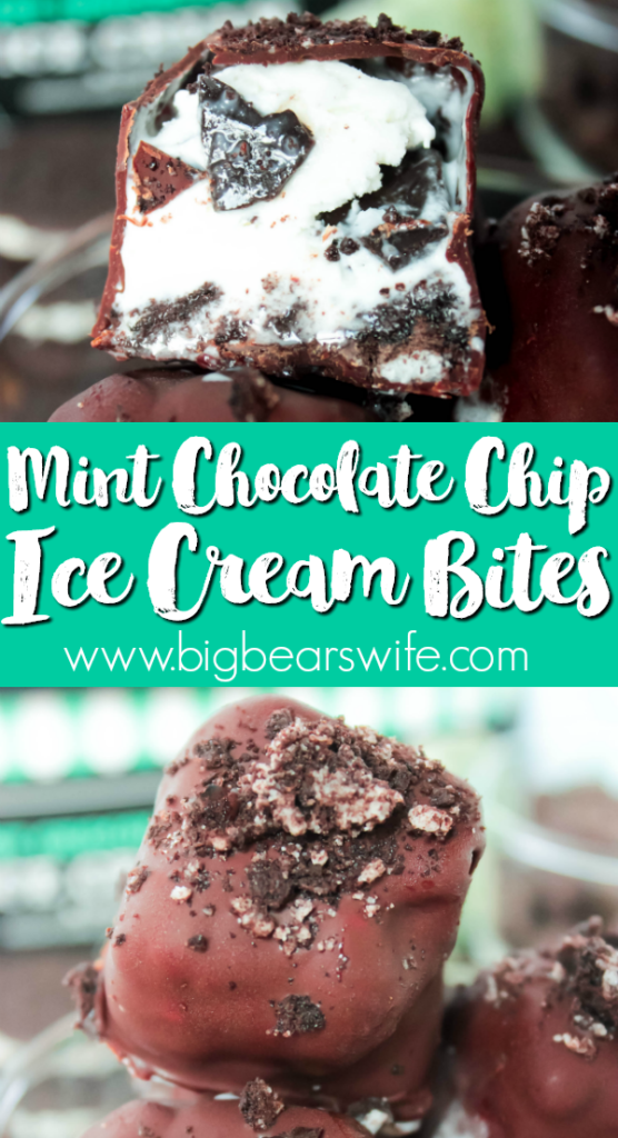 Mint Chocolate Chip Ice Cream Bites - These Mint Chocolate Chip Ice Cream Bites are easy little bites of chocolate coated ice cream. These bites can be made with homemade or storebought ice cream, however, making them with storebought ice cream makes them super easy to make! Change up the flavor of ice cream too for even more dessert fun!