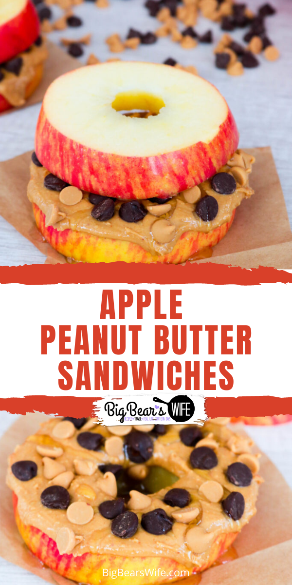 Apple Peanut Butter Sandwiches - These Apple Peanut Butter Sandwiches are fun and easy to make! Eat these apple “sandwiches” with just peanut butter or add in all sorts of treats like chocolate chips, peanut butter chips, honey, oats, or raisins. via @bigbearswife