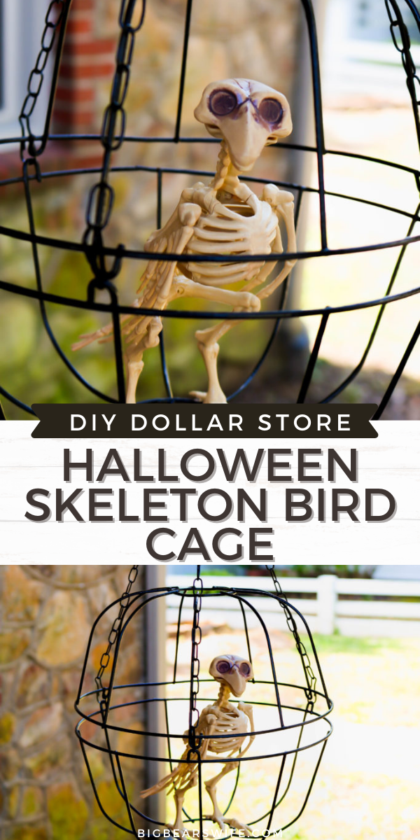 Decorate on a budget with this easy dollar store DIY Halloween Skeleton Bird cage. This fun DIY Halloween craft cost $3 to make and your DIY Dollar Store Halloween Skeleton Bird cage will look perfectly creepy outside or inside this Halloween!

 via @bigbearswife