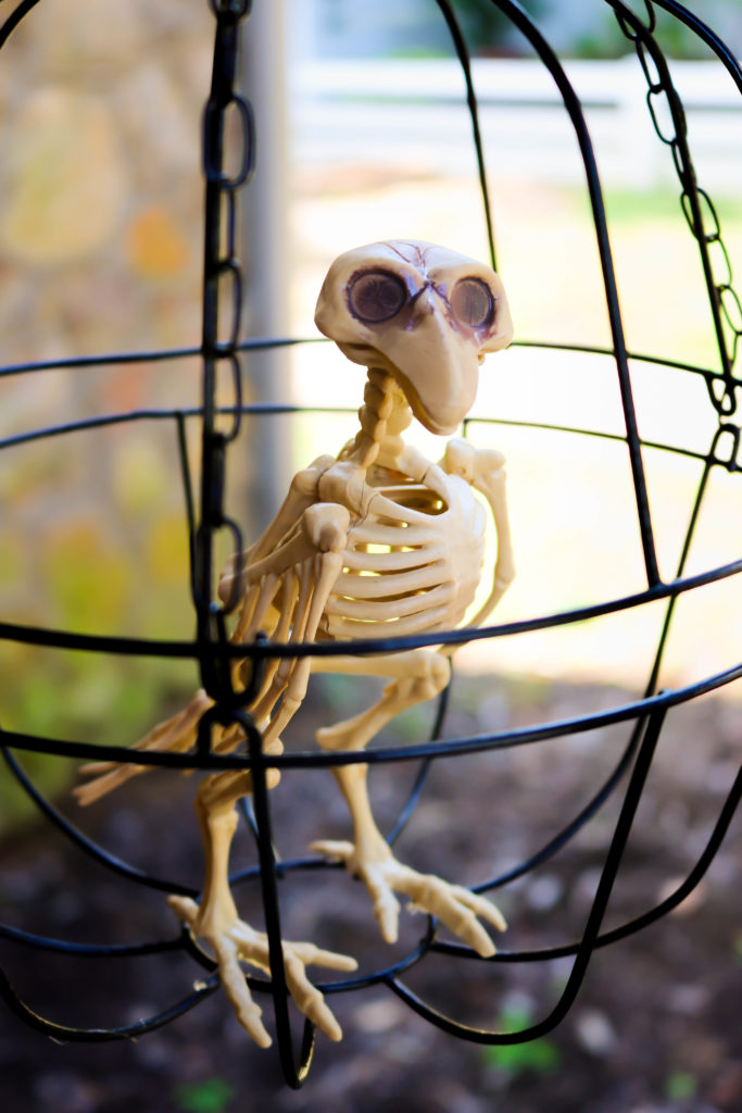 DIY Dollar Store Halloween Skeleton Birdcage