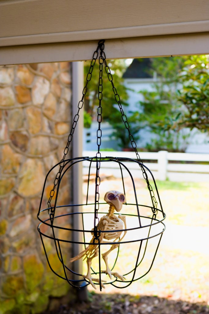 DIY Dollar Store Halloween Skeleton Bird Cage -Decorate on a budget with this easy dollar store DIY Halloween Skeleton Bird Cage. This fun DIY Halloween craft cost $3 to make and your DIY Dollar Store Halloween Skeleton Bird Cage will look perfectly creepy outside or inside this Halloween! 