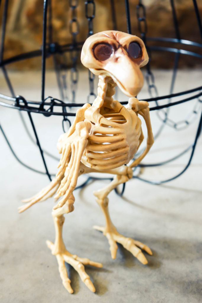 DIY Dollar Store Halloween Skeleton Bird Cage