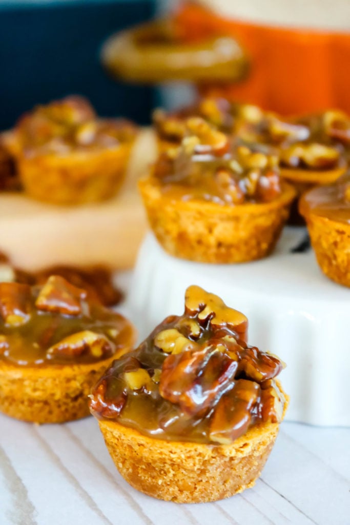 Pumpkin Cream Cheese Bites with Praline Topping are the perfect bite-size dessert to satisfy any sweet tooth. Made with a graham cracker crust, a simple and tasty pumpkin cheesecake filling and topped with a homemade praline sauce, these tasty little bites are perfect for any holiday.