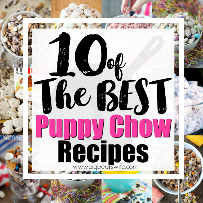 10 of the Best Puppy Chow Recipes - Powdered Sugar Chex Snack Mix
