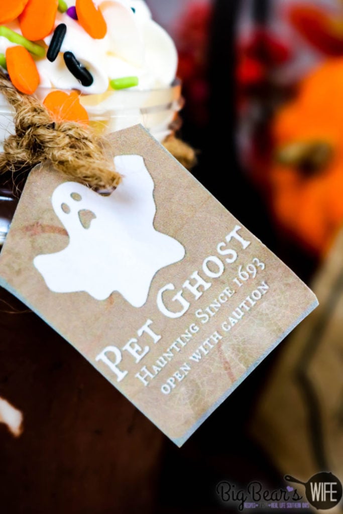 Pet Ghost Tag