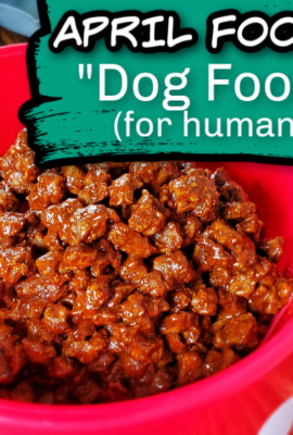 Dog Food for Humans - APRIL FOOLS Recipe - Freak out your friends, family and kids this April Fools day with this tasty and edible Dog Food for Humans! Don't worry, it's just beef and but served up in a clean dog bowl it looks just like Rover's food! 