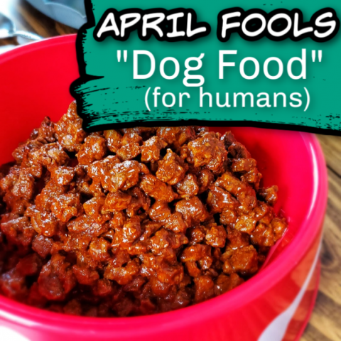 Dog Food for Humans - APRIL FOOLS Recipe - Freak out your friends, family and kids this April Fools day with this tasty and edible Dog Food for Humans! Don't worry, it's just beef and but served up in a clean dog bowl it looks just like Rover's food! 