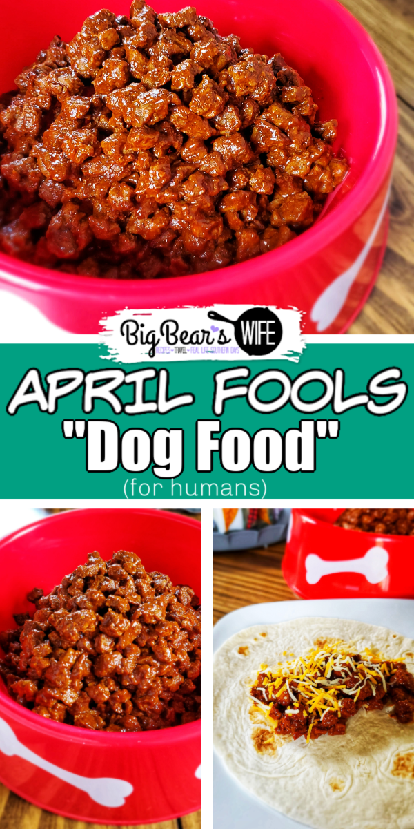 Dog Food for Humans - APRIL FOOLS Recipe - Freak out your friends, family and kids this April Fools day with this tasty and edible Dog Food for Humans! Don't worry, it's just beef and but served up in a clean dog bowl it looks just like Rover's food!  via @bigbearswife