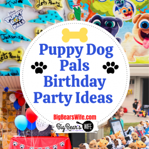 Puppy Dog Pals Birthday Ideas