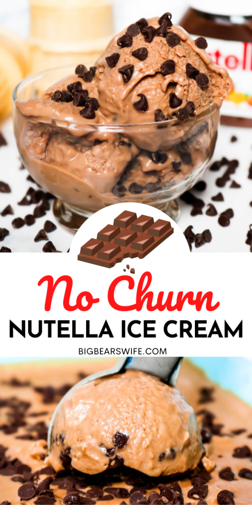 No Churn Chocolate Chip Nutella Ice Cream
