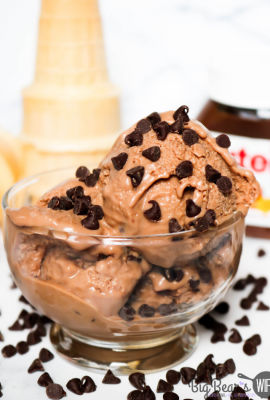 No Churn Chocolate Chip Nutella Ice Cream in glass bowl