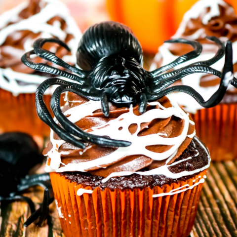 Make a spooky but tasty mess with these fun Marshmallow Spider Web Cupcakes! Homemade chocolate cupcakes and chocolate frosting get covered in creepy homemade marshmallow spiderwebs for a dessert that's perfect for Halloween! 
