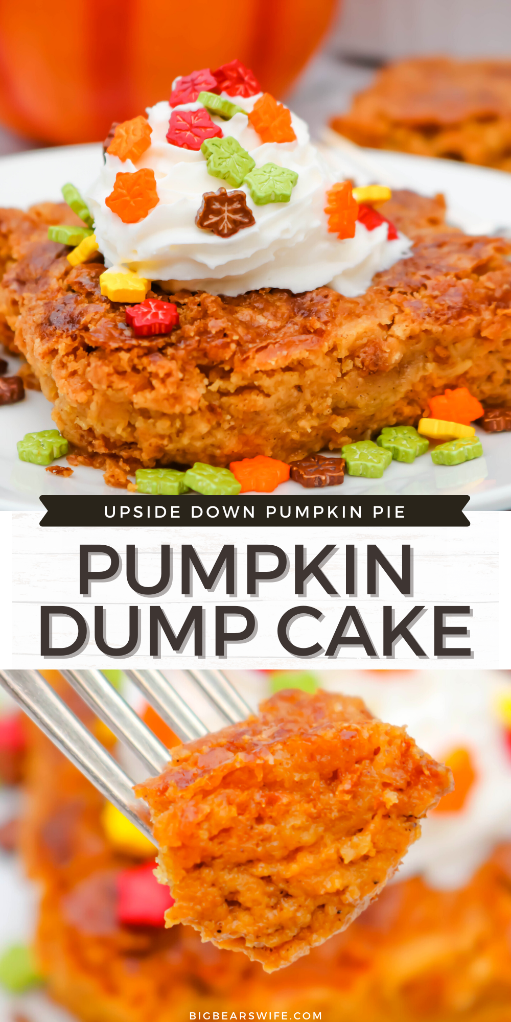 This Easy Pumpkin Dump Cake is one of the easiest fall desserts ever. This cake is a mix and dump type cake, it takes about 1 hour to bake and it taste like an upside down pumpkin pie!  via @bigbearswife