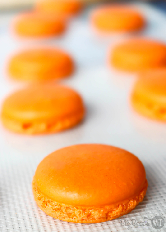 Dive into a sweet combination of orange and chocolate with these fantastically festive Orange Chocolate Macarons. These macarons have an orange flavored shell and they are filled with a wonderful homemade chocolate ganache.