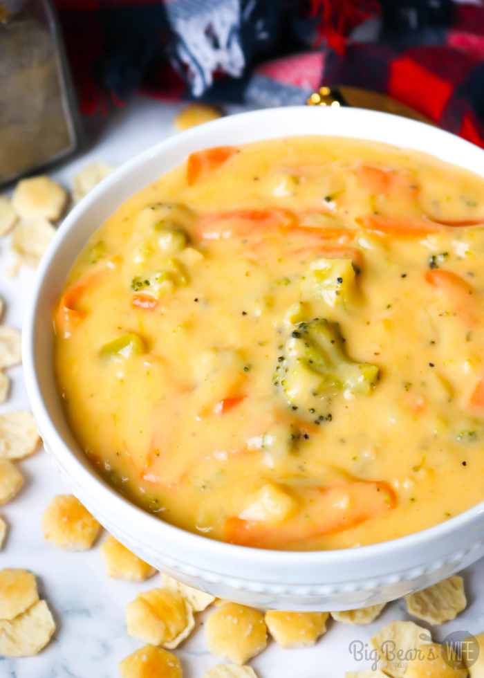 This Homemade Broccoli and Cheese Soup that is packed with broccoli, carrots, garlic and cheese is one of the best broccoli cheese soups I've made at home! It is so easy and so good!