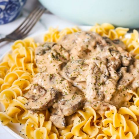 BEEF STROGANOFF over egg noodles on white plate with parsley