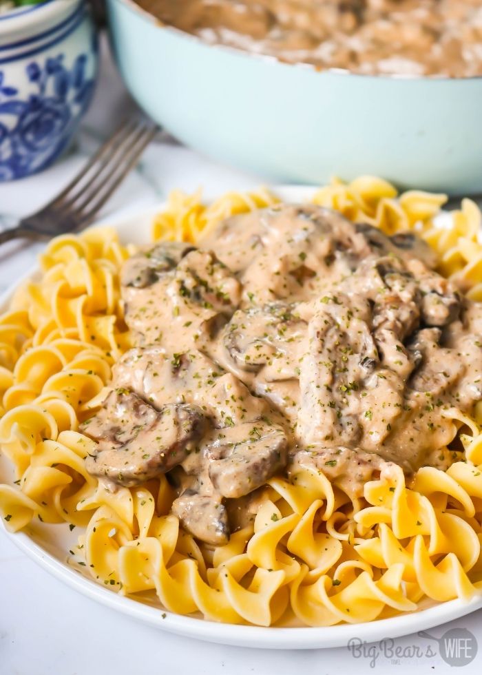 BEEF STROGANOFF over egg noodles on white plate with parsley