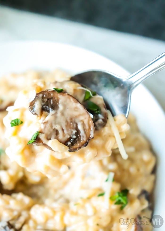 spoonful of Mushroom Risotto in white bowl